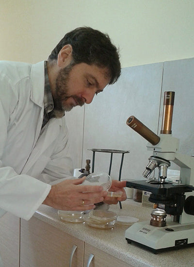 Ερευνητική εργασία