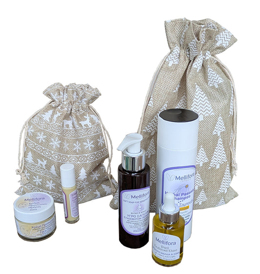 Πουγκί Χριστουγεννιάτικο 17Χ23 μεσαίο