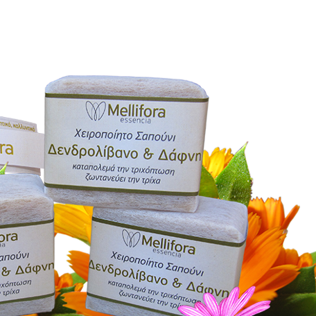 Hair & Bath Soap